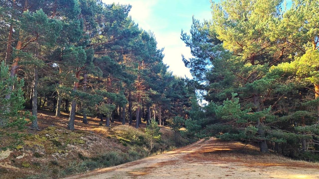 Casa Rural Zirimiri En Herreros, Soria Buitenkant foto